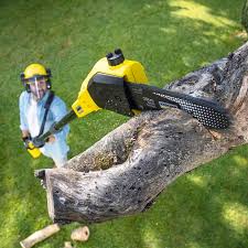 Best Lawn Mowing  in Palmdale, CA