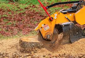 Lawn Watering Services in Palmdale, CA